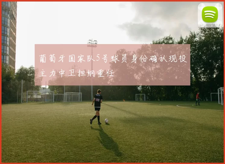 葡萄牙国家队5号球员身份确认现役主力中卫担纲重任